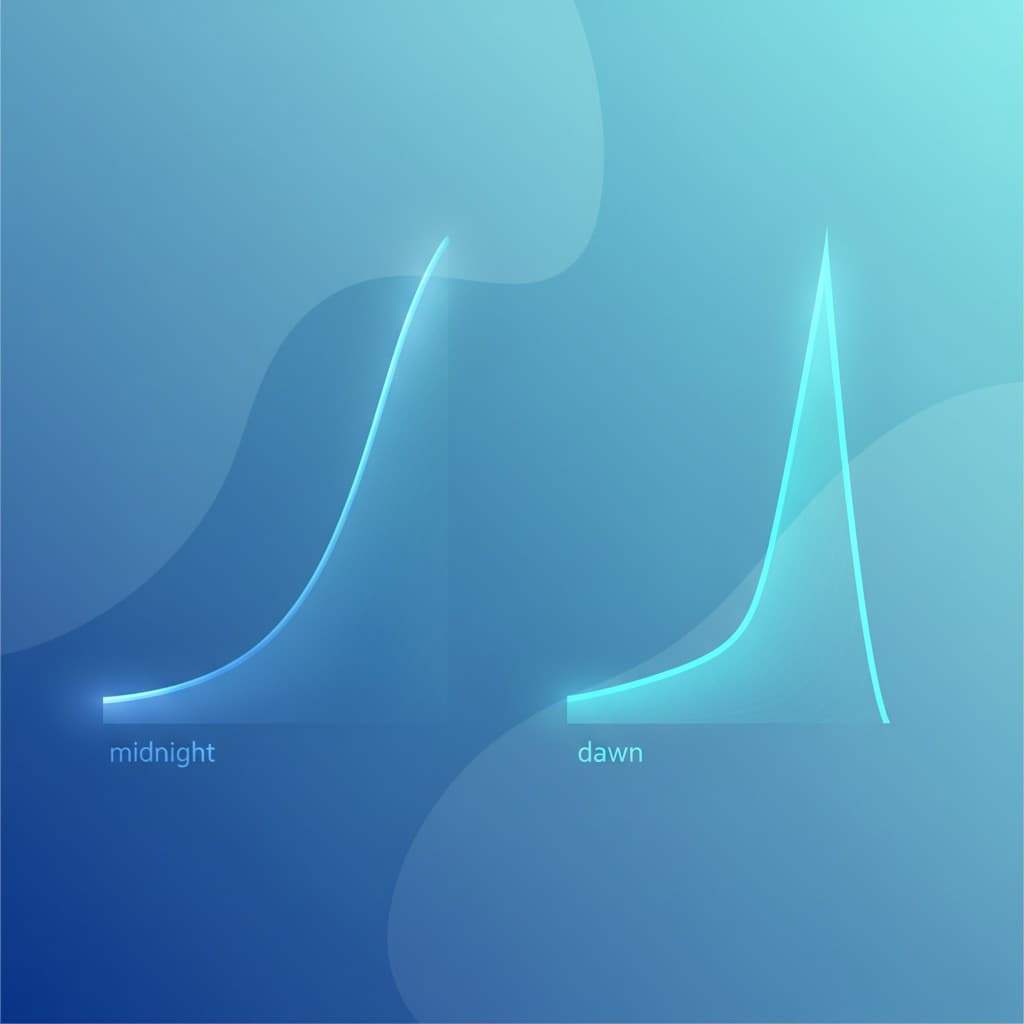 새벽현상과 소모기현상의 야간 혈당 패턴 비교 도식: 두 곡선의 모양 차이와 저혈당 발생 여부를 구분한 인포그래픽