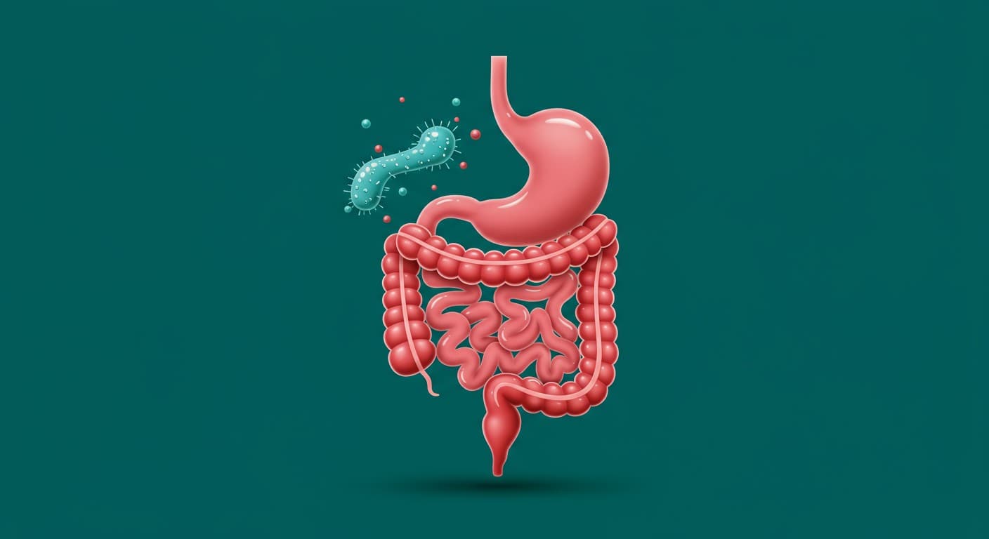 장-뇌 축 연구의 시간적 발전 흐름을 보여주는 타임라인 인포그래픽. 동물 실험에서 인간 RCT, 신경영상 연구로의 진화 과정 표시. 미래 방향으로 정밀 의료 접근 예시.