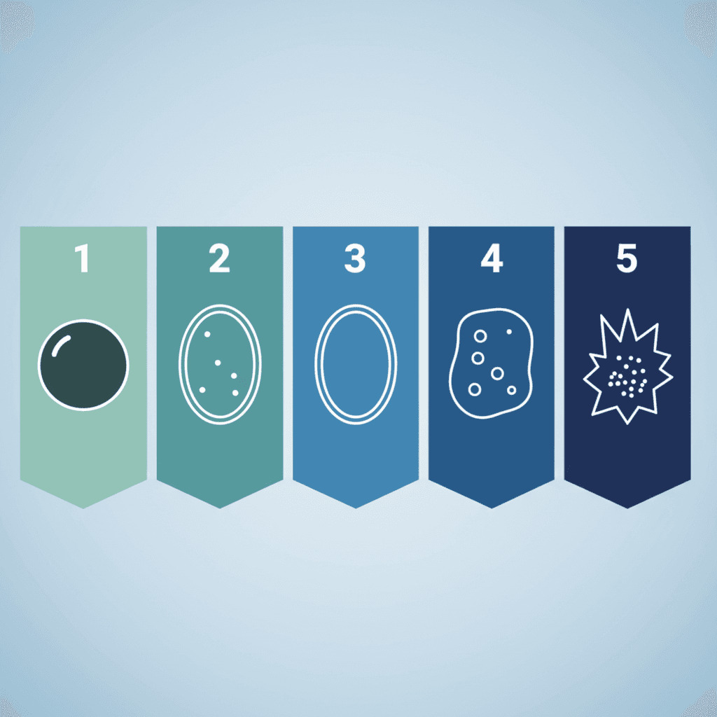 K-TIRADS 2021 위험도 분류 체계: 초음파 소견별 카테고리 1~5 분류 및 생검 권고 기준